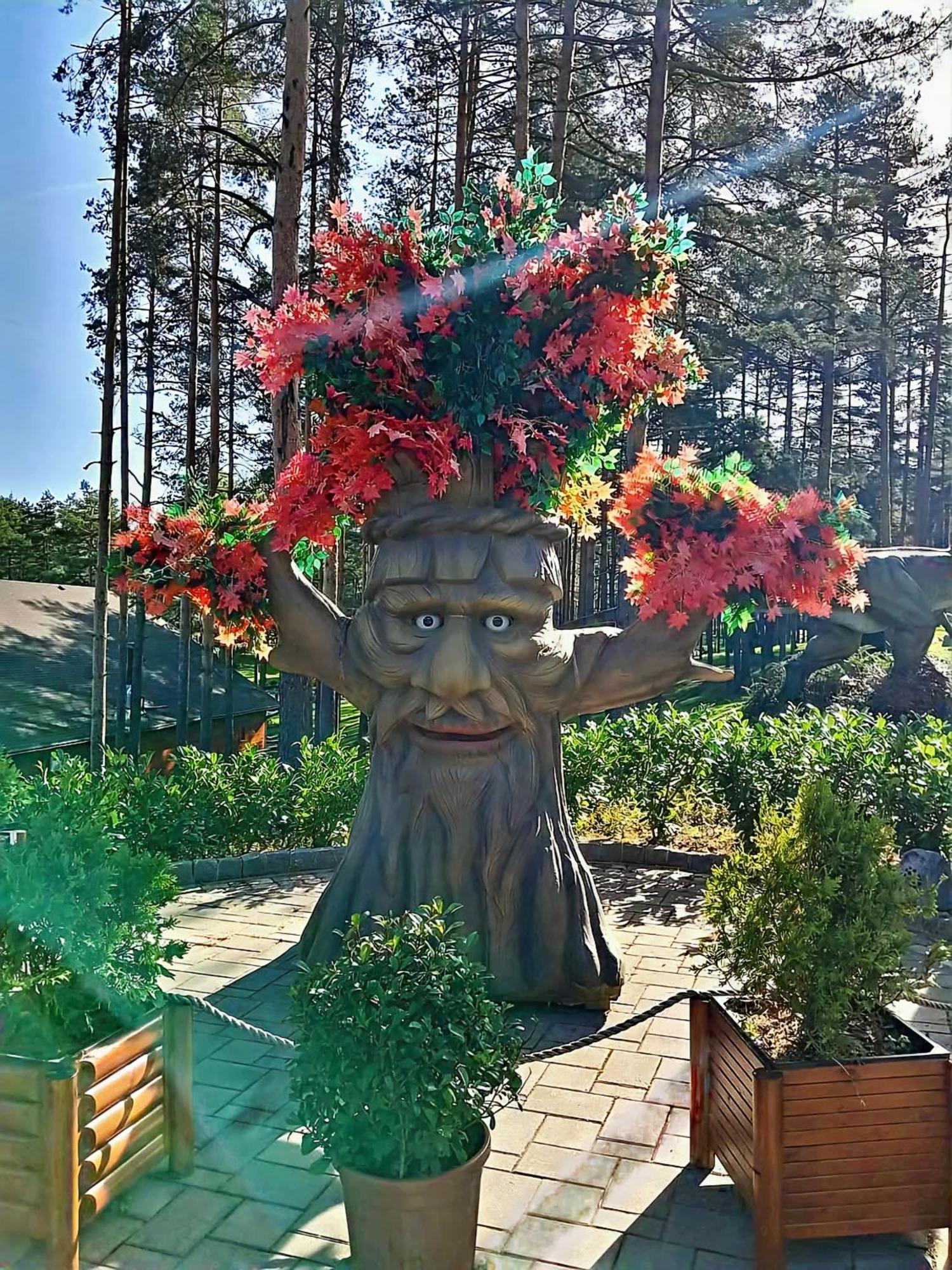 Silver Star Zlatibor Buitenkant foto