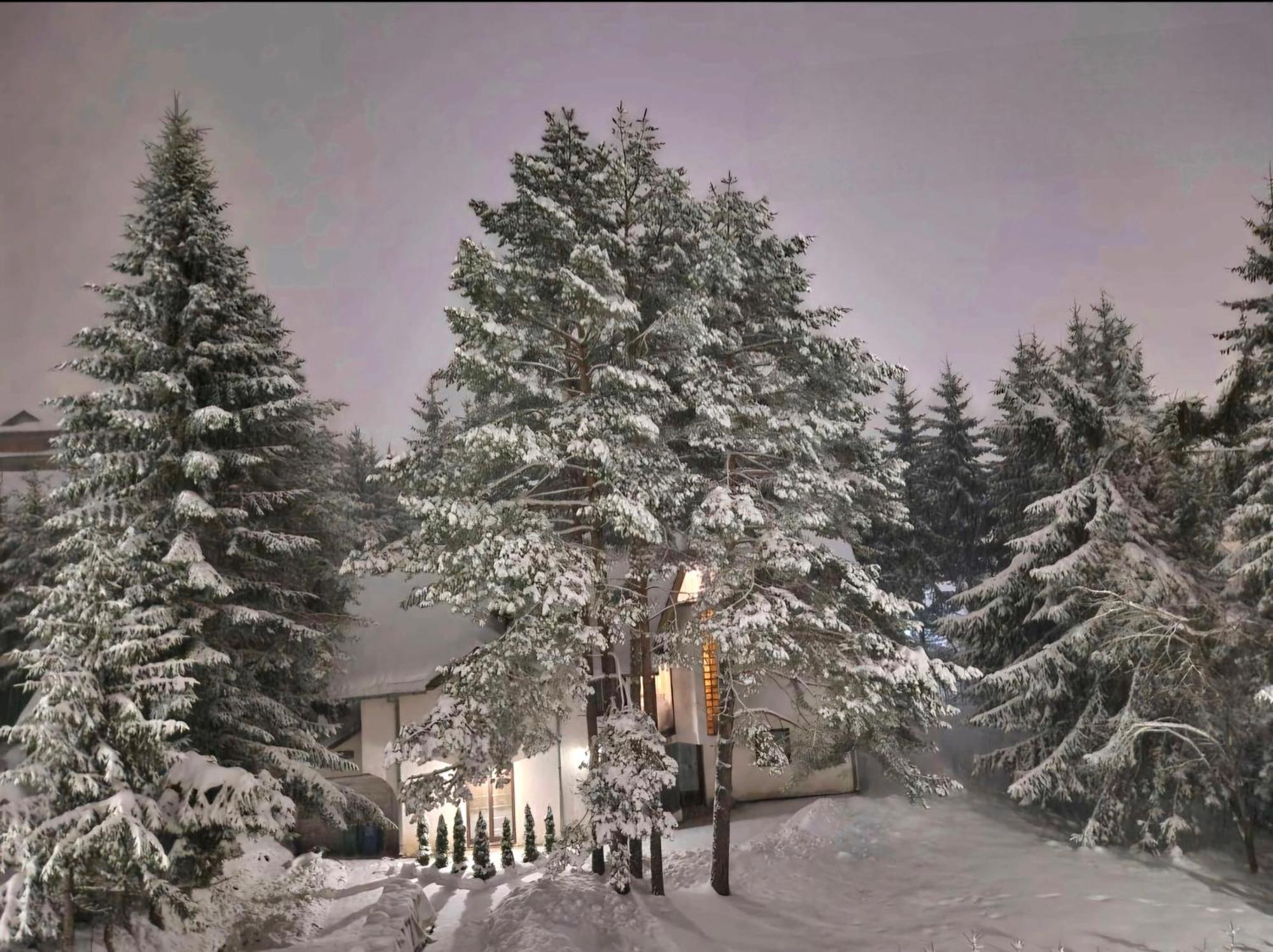 Silver Star Zlatibor Buitenkant foto